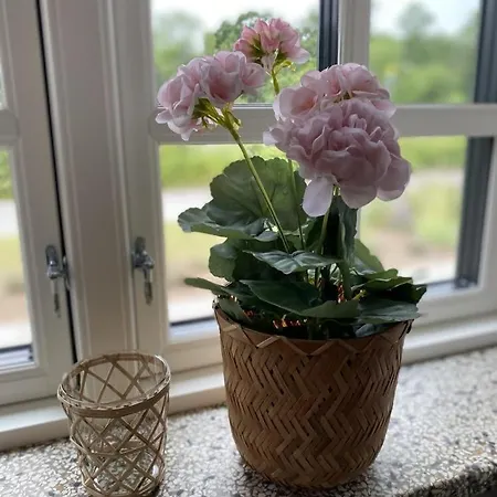 Svalereden Frederikshavn