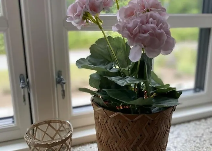 Svalereden フレデリクスハウン